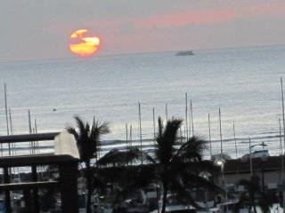 Alan Cook's album, Cover Photos