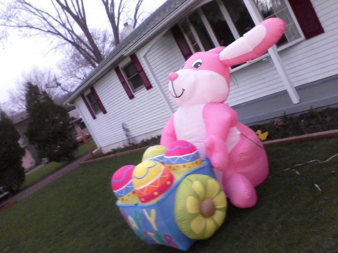 Sharon Babbitt's album, Mobile Uploads