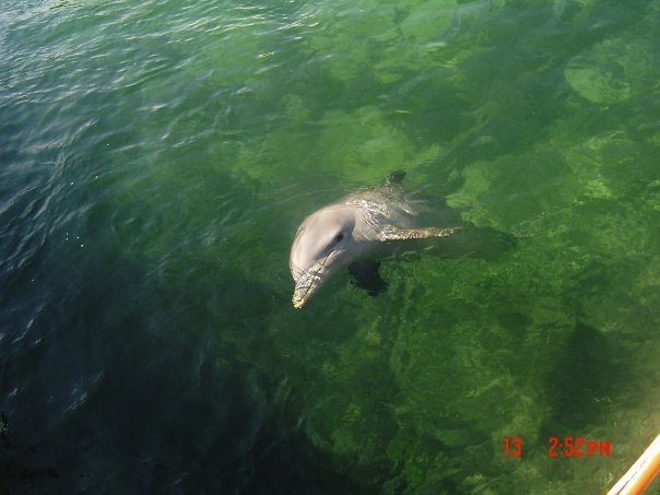 Janee Broderick's album, Mexico Vacation