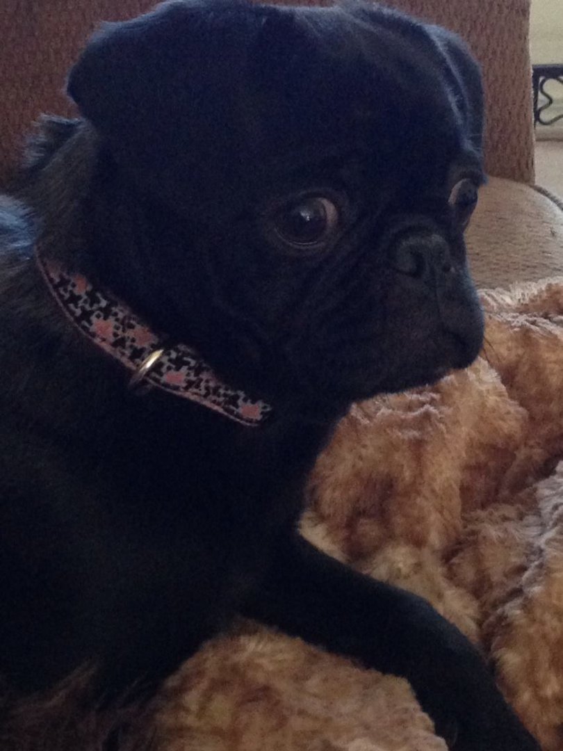 Kathie Derring's album, iOS Photos
