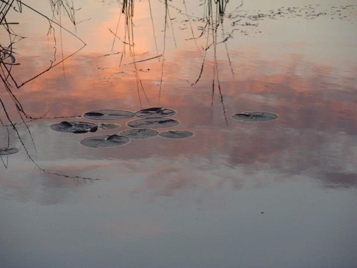Nancy Danner's album, Cover Photos