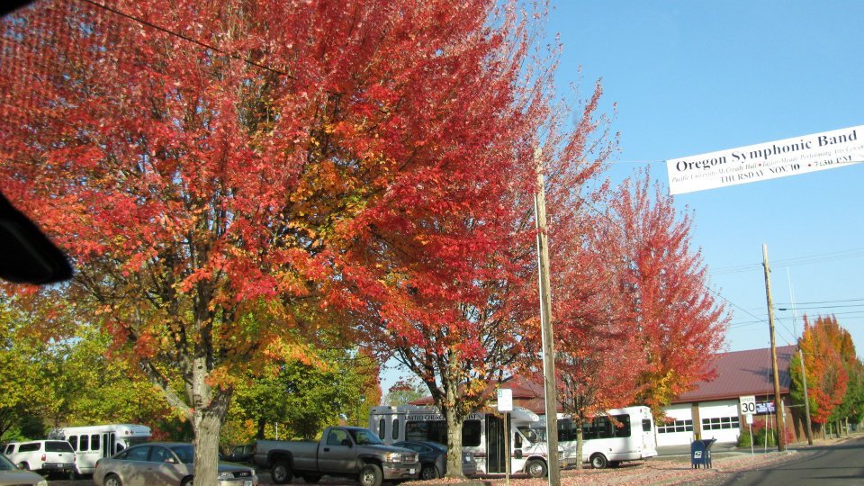 Lynn Adams' album, Oregon trip to Pacific University