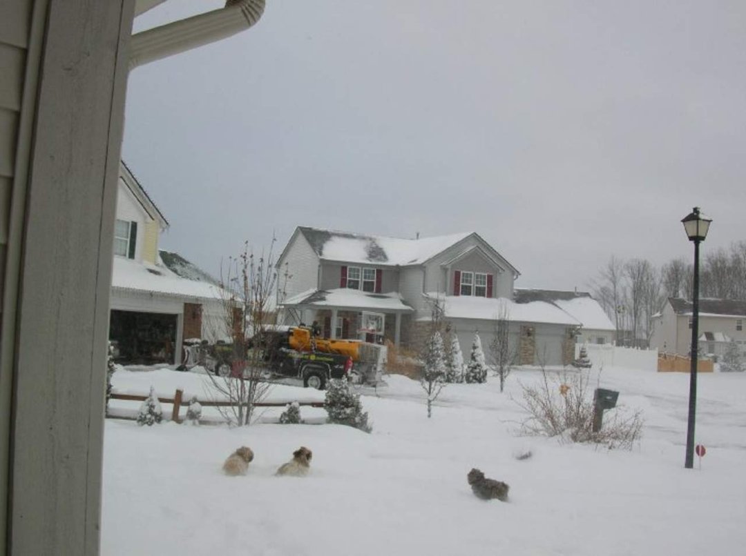 Bob Wilson's album, snow days