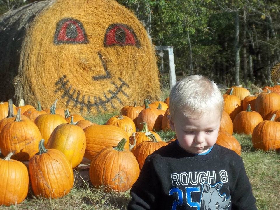 Barbara Sisk's album, Pumpkin Hill