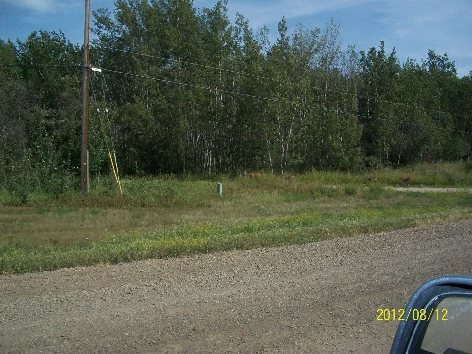 Karen Epp's album, Summer, 2012