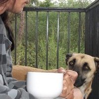Guy Low's album, Profile Pictures