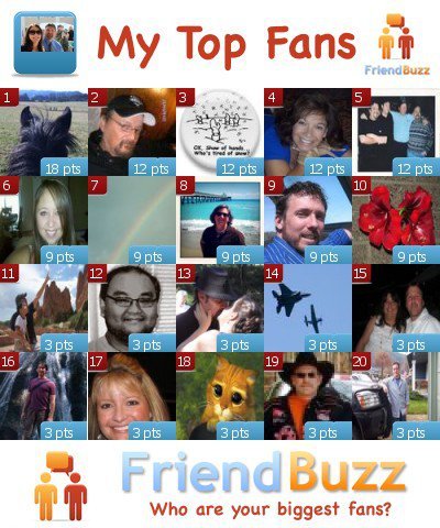 David Cook's album, Friend Buzz Photos