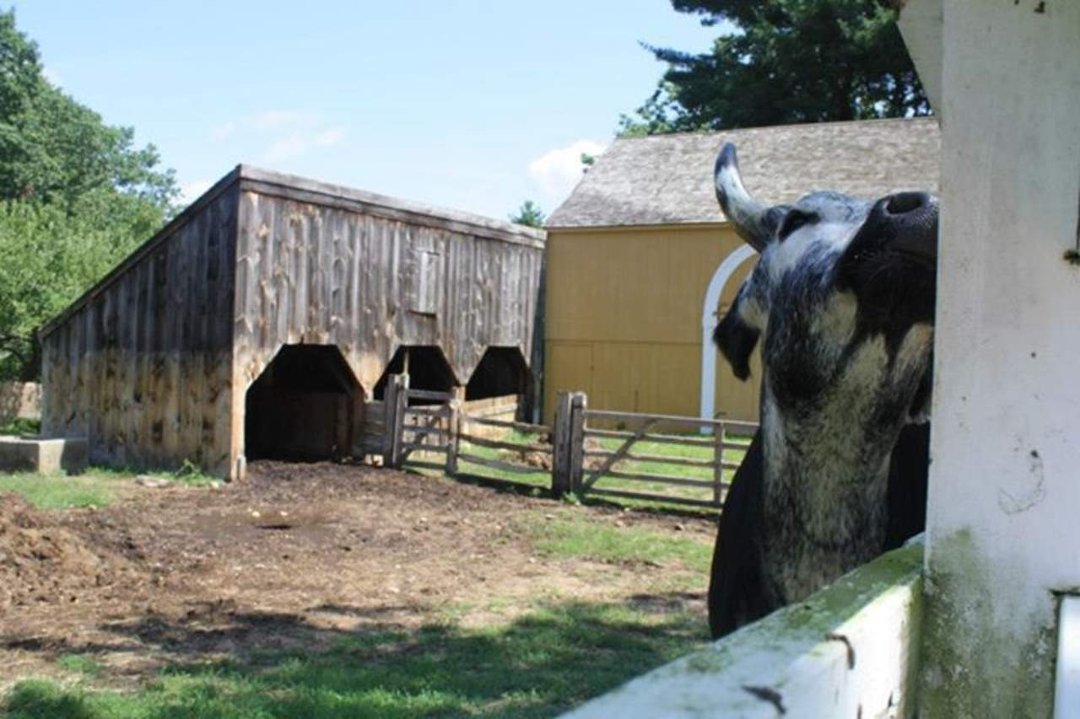 Mary Horsley's album, Day 6: Old Sturbridge Village