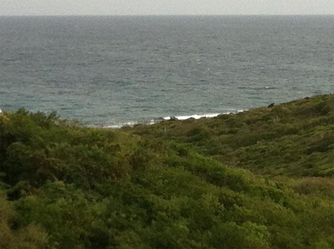 Bruce Phillips' album, Maho Bay 2013