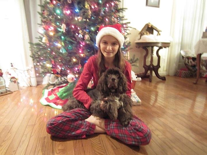 Stephen Jenney's album, Christmas 2012