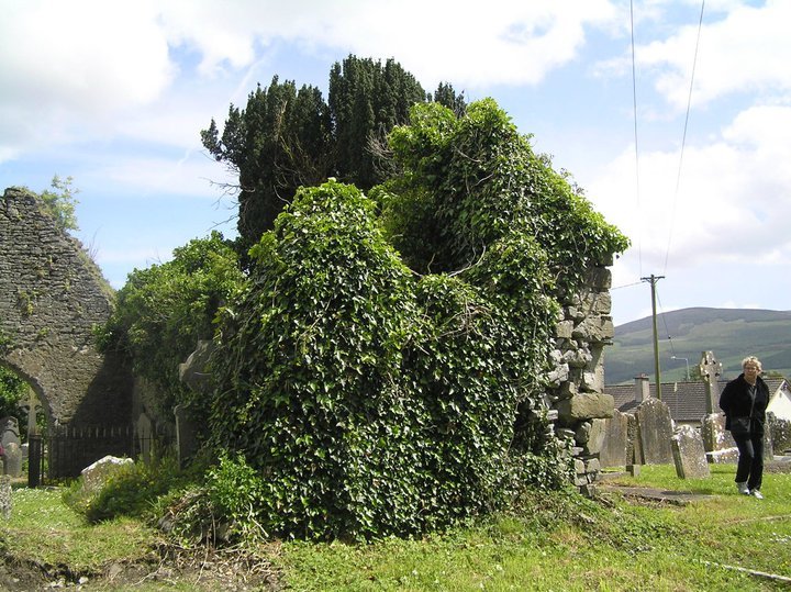 Barbara Burns' album, Ireland May 2011 BBC trip
