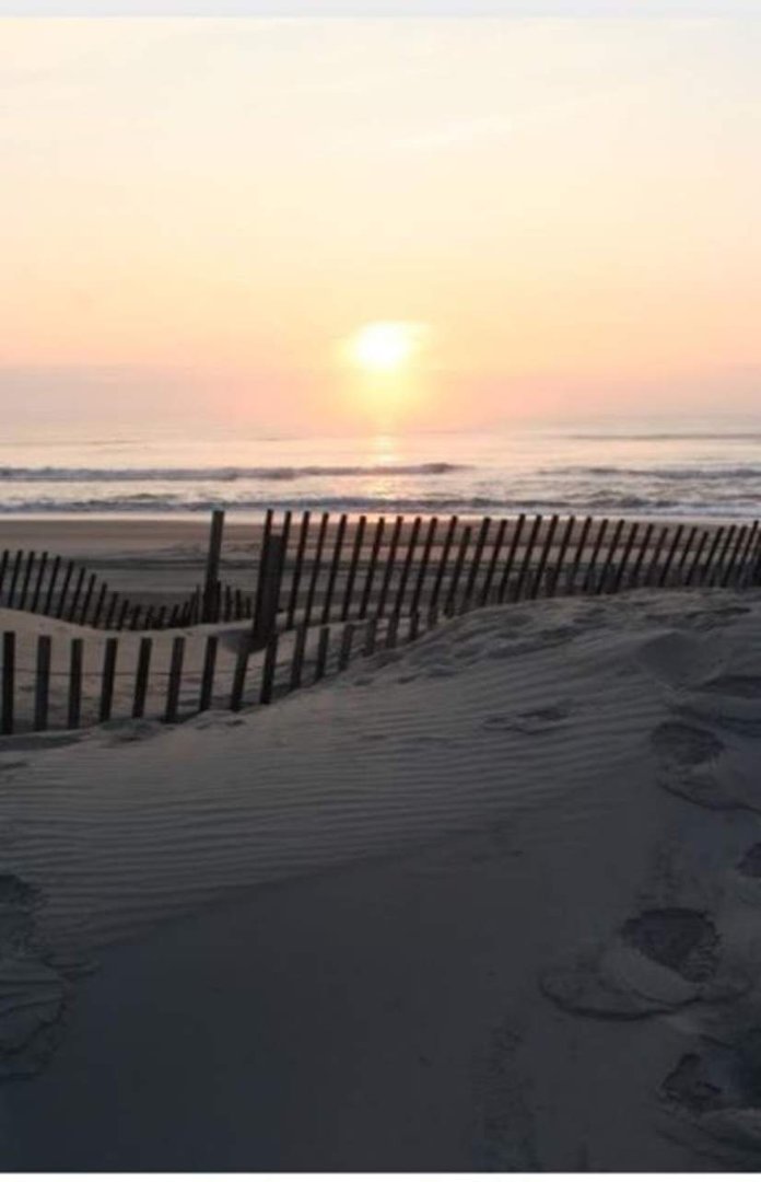 Suzanne McCollum's album, Cover Photos