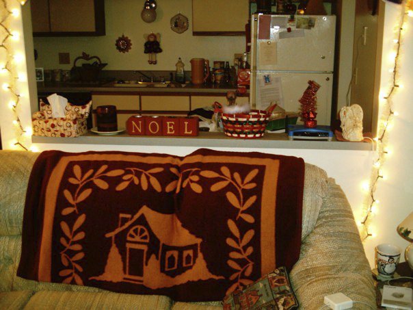 Lisa Risvold's album, Apartment & Pets Dec 09