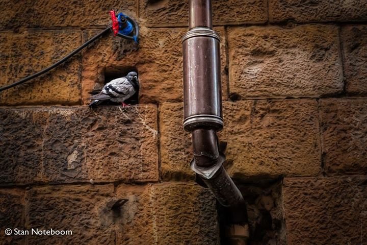 Stan Noteboom's album, 500px Photos
