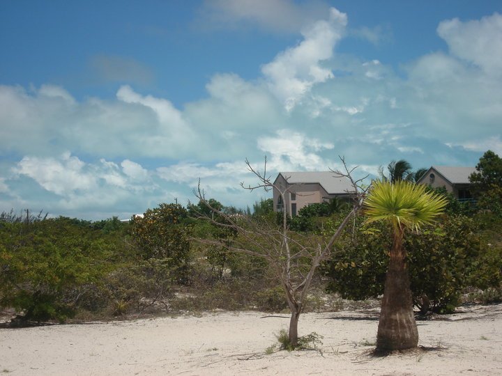 Lee Narwold's album, Turks & Caicos 2010