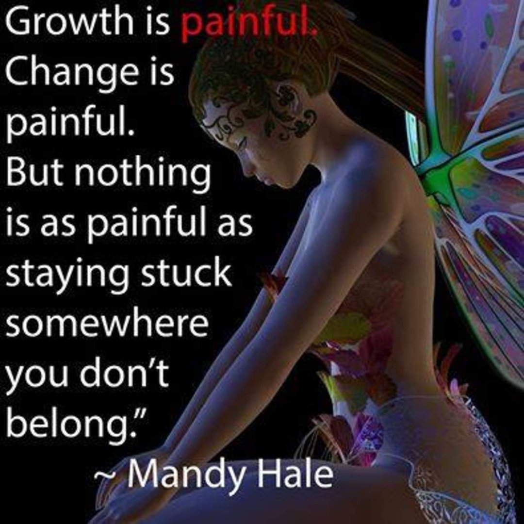 Vincent P's album, Timeline Photos
