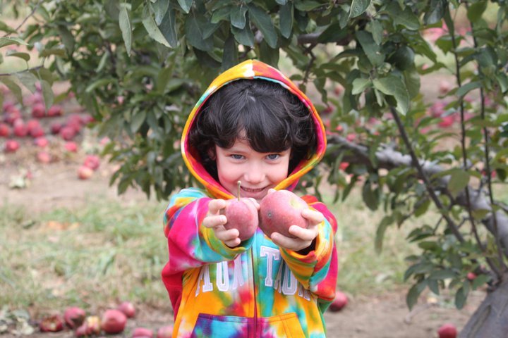 Bernadette Montalvo's album, Apple/Pumpkin picking 2010