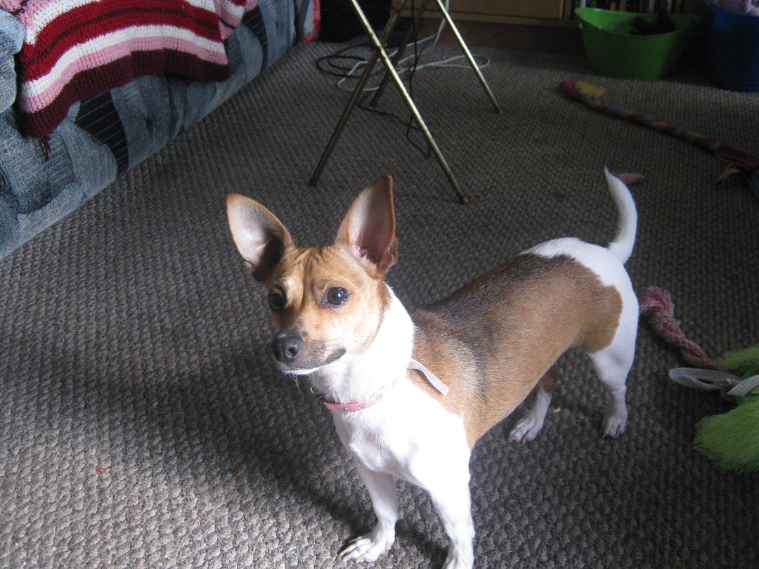 Cathy Cheney's album, Cover Photos