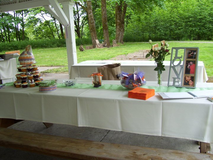 Nancy Greshle's album, David & Erin's Wedding June 10,2011