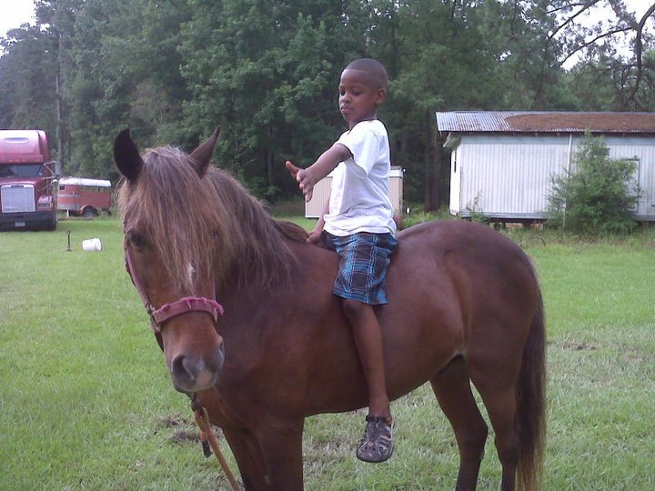 Kevin Webb's album, My Sons
