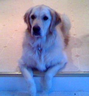 Tom Sutton's album, Bailey