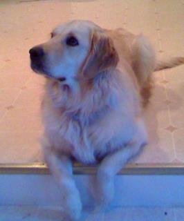 Tom Sutton's album, Bailey