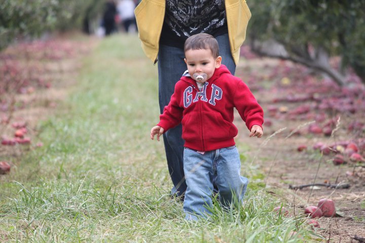 Bernadette Montalvo's album, Apple/Pumpkin picking 2010