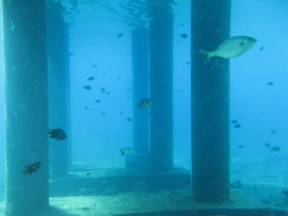 Monica Braley's album, Cozumel March 2012