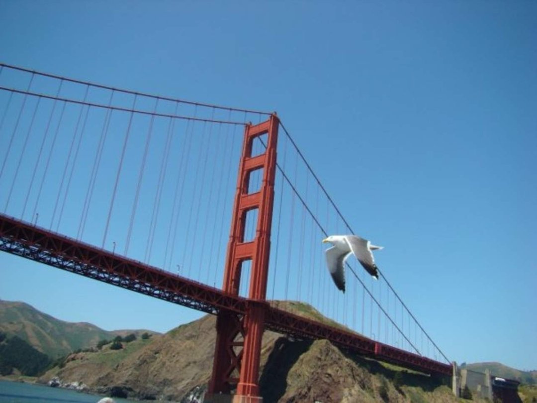 Scott Schwartz's album, San Francisco Trip April 2008