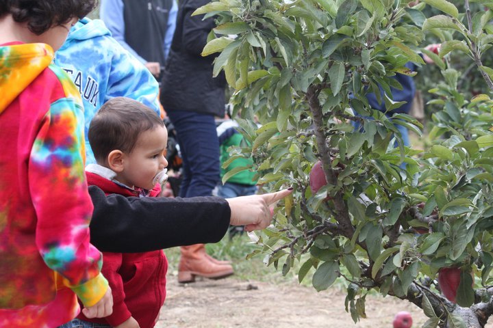 Bernadette Montalvo's album, Apple/Pumpkin picking 2010