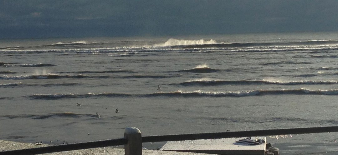 Sally Klingler's album, Cover Photos