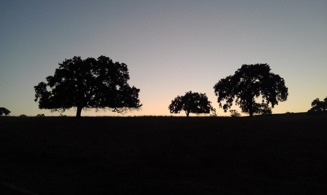 Gregg Klatt's album, Mobile Uploads