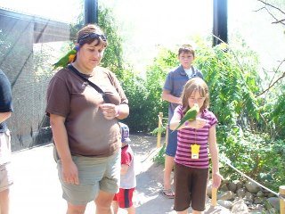 Stephanie Libbert's album, Aunt Melissa's Trip