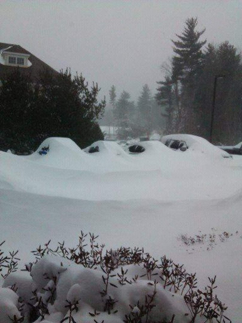 Maria Hebert's album, NorEaster February 2013