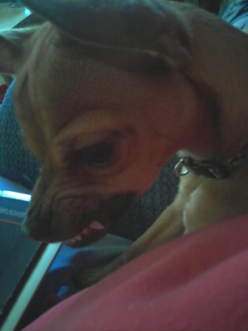 Ruby Misener's album, Profile Pictures