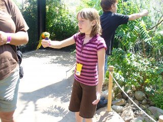 Stephanie Libbert's album, Aunt Melissa's Trip