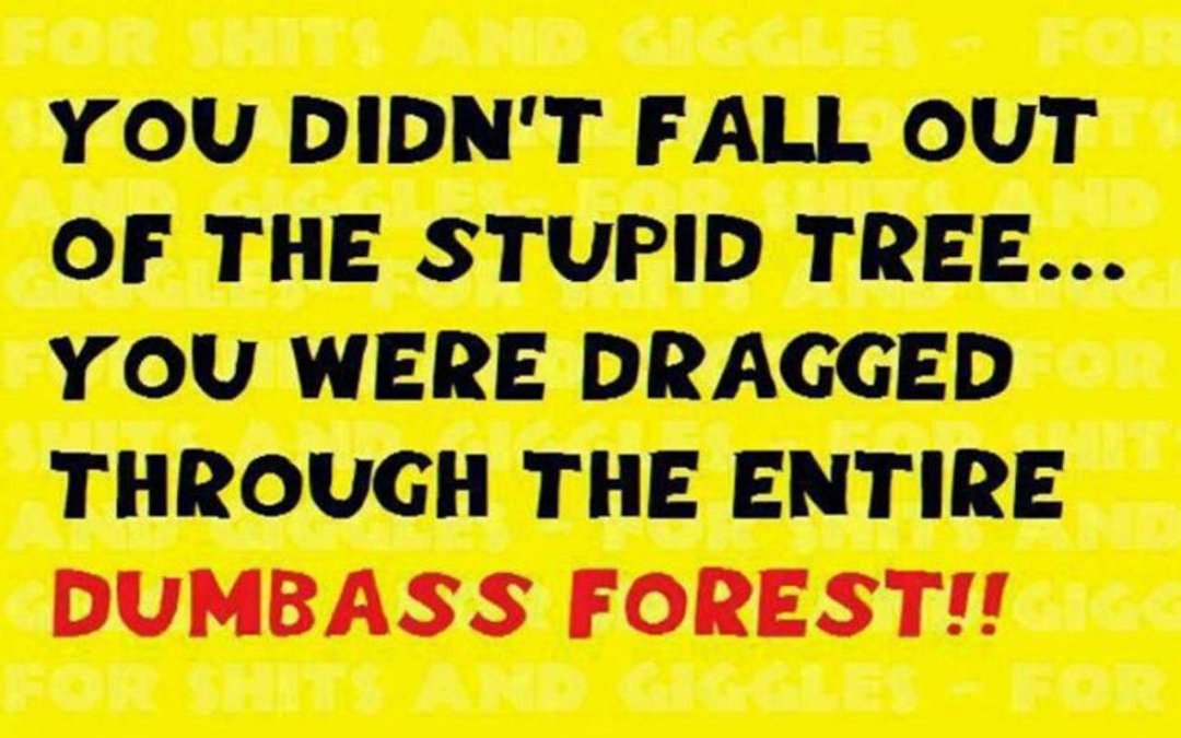 Donald Cherry's album, Timeline Photos