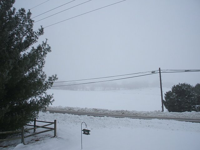 Randy Denniston's album, Cover Photos