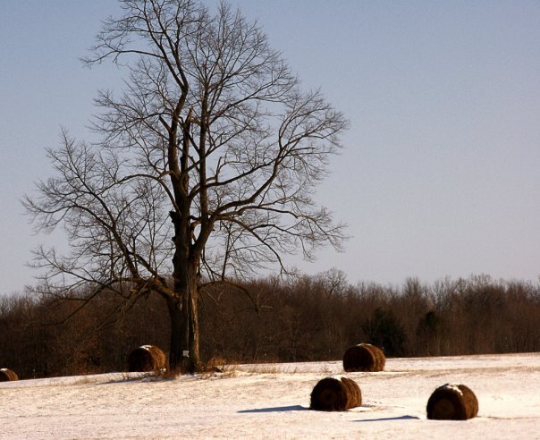 Beth Bailey's album, Winter in Northern Mid-Michigan