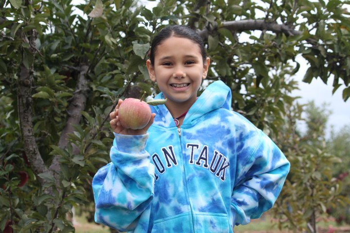 Bernadette Montalvo's album, Apple/Pumpkin picking 2010
