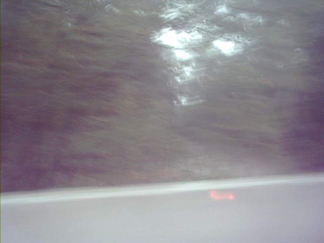 Ruby Dieffenbach's album, September 9, 2011