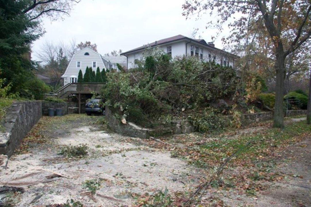 Thomas Bricker's album, Hurricane Sandy Visits the Brickers