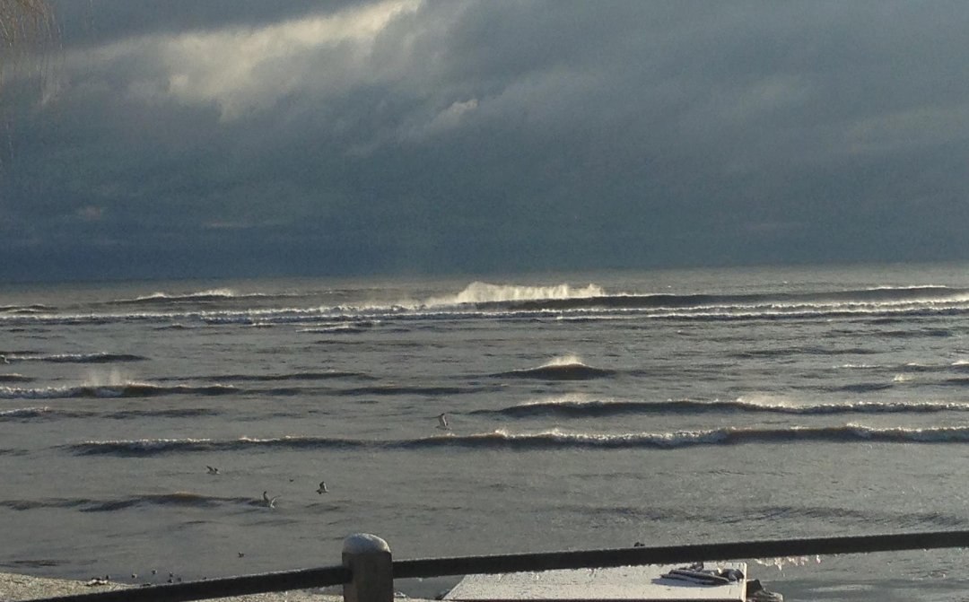 Sally Klingler's album, Cover Photos