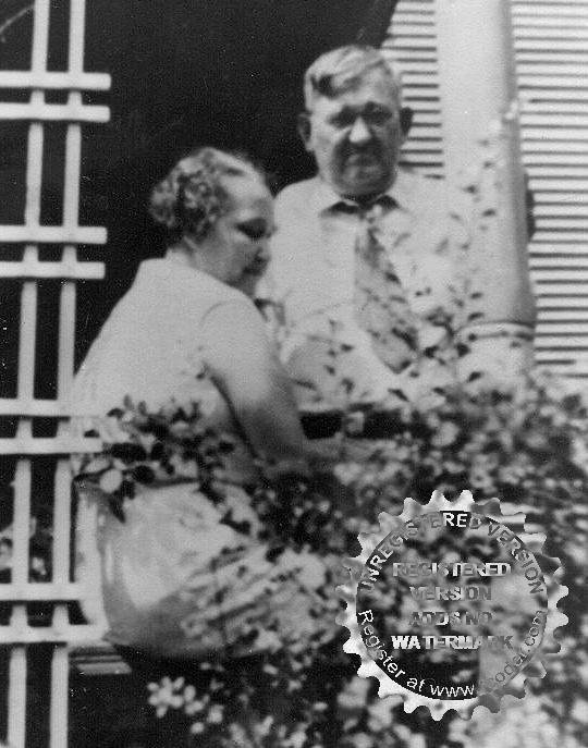 Freeman Stickney's album, Old Family