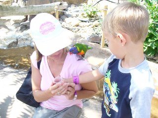 Stephanie Libbert's album, Aunt Melissa's Trip