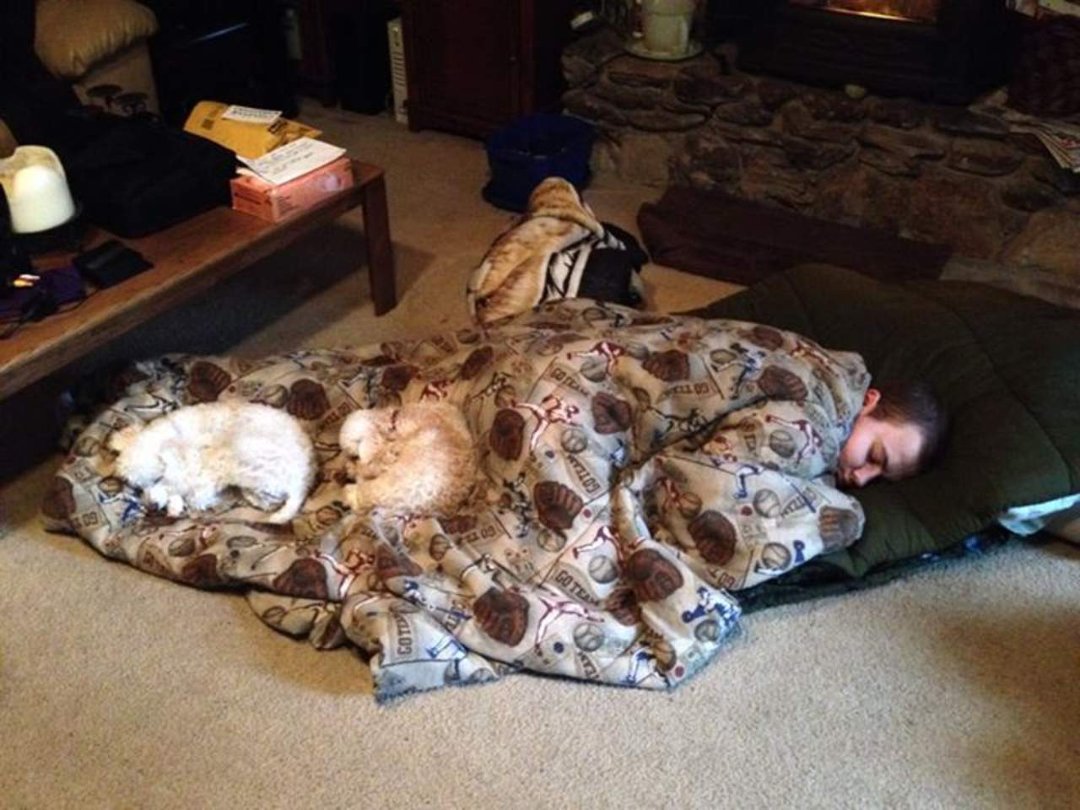 Harry Landers' album, Mobile Uploads