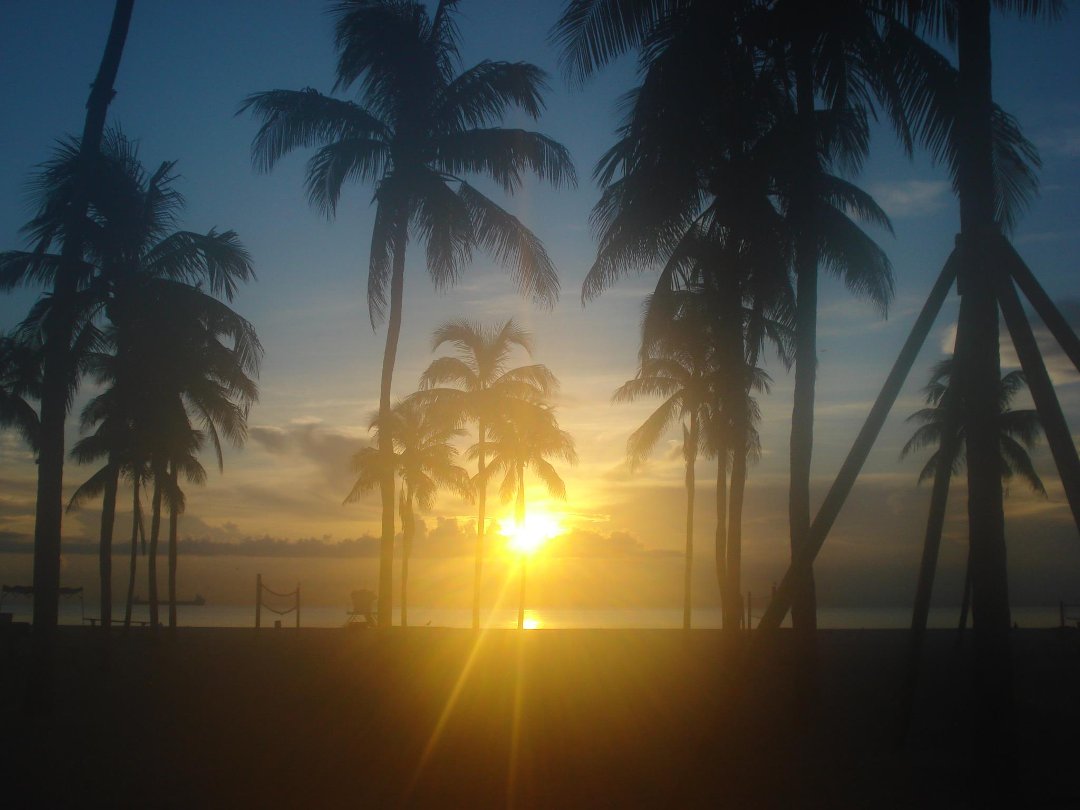 Carol Leone's album, Cover Photos