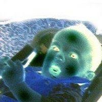 Michael Donovan's album, Profile Pictures