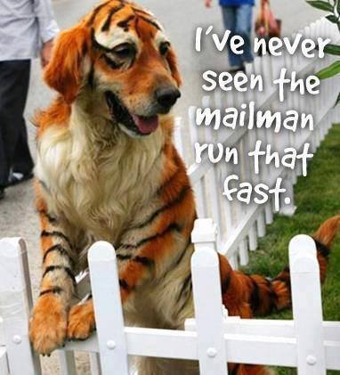 Pat Patterson's album, Timeline Photos