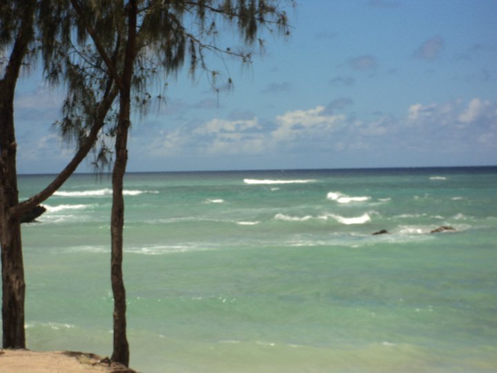 Joann Moeller's album, Hawaii/25th Anniversary 9/2010